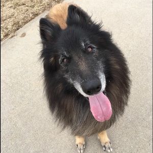 Meet your Posher, Sharon